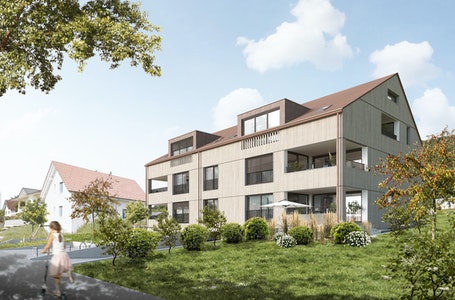 Projektankündigung «WOLKESTEI»