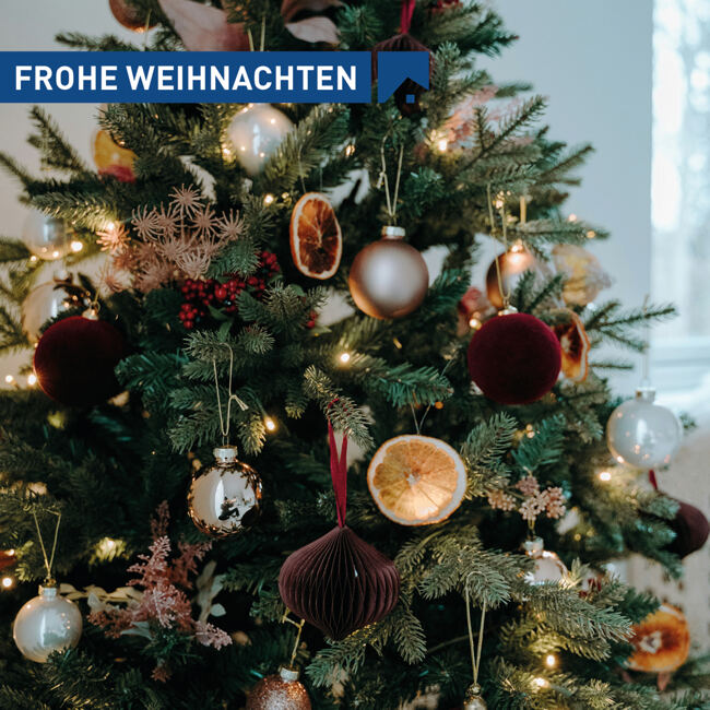 Frohe Weihnachten und einen guten Start ins neue Jahr